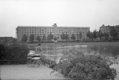 83293 Gezicht op de vijver tussen de Rijnhuizenlaan en het Ridderplantsoen te Utrecht; op de achtergrond het ...